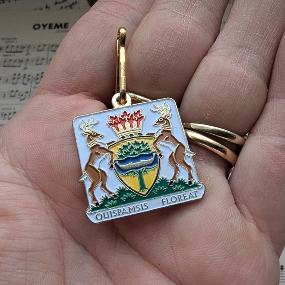 Quispamsis Floreat Enamel Pendant - Picture 1 of 5